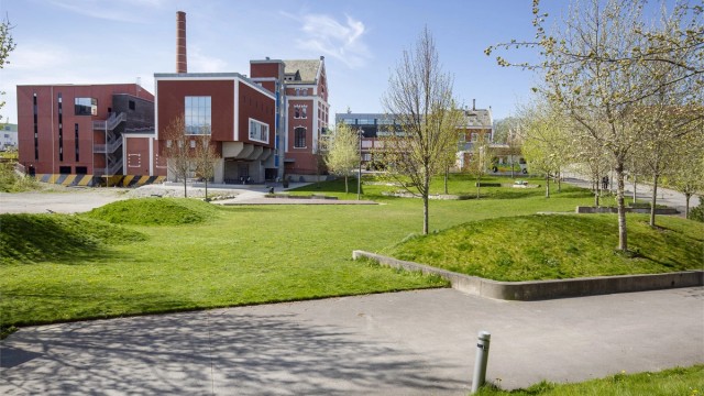Like leiligheten har man Lervigparken, hvor det er fine grøntområder og sjøpromenade