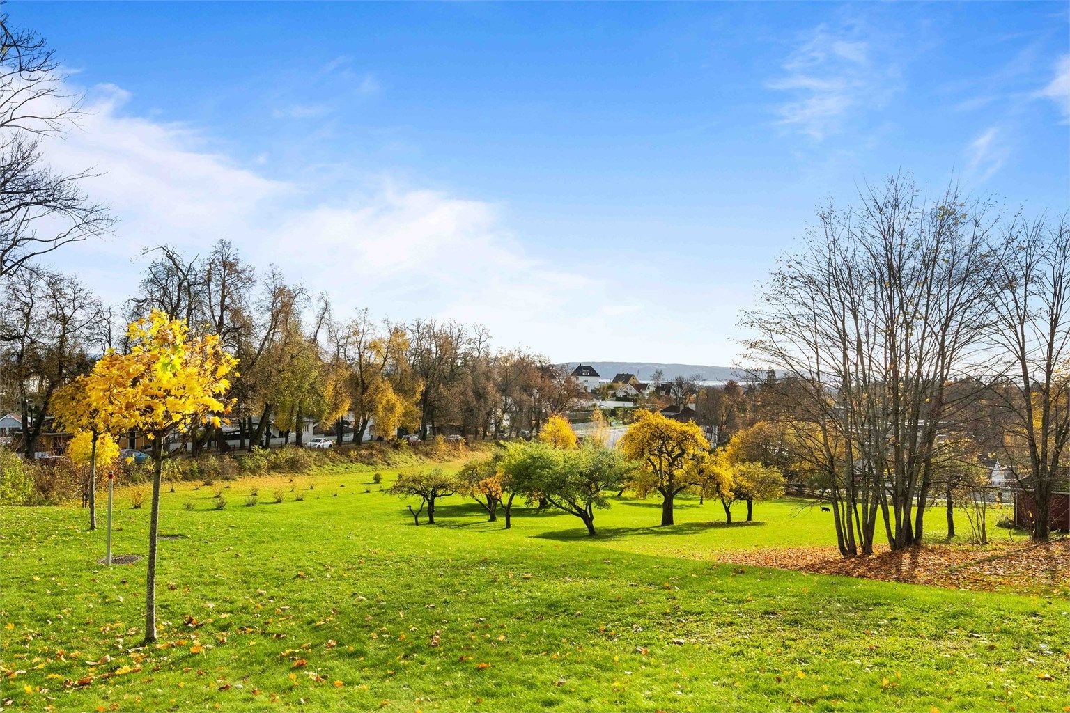 Park med nydelige turmuligheter