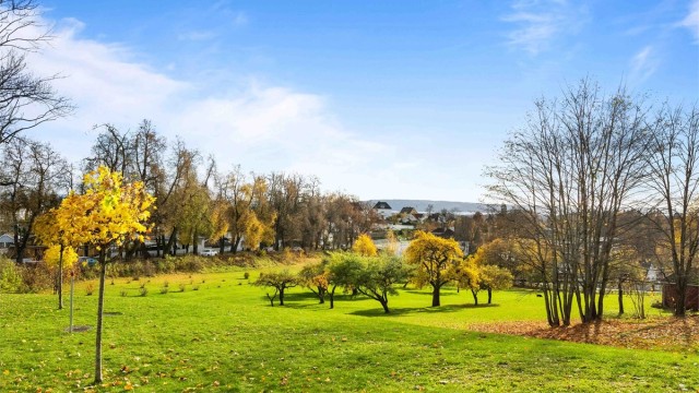 Park med nydelige turmuligheter