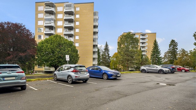 Gjesteparkering på borettslagets fellesarealer.
