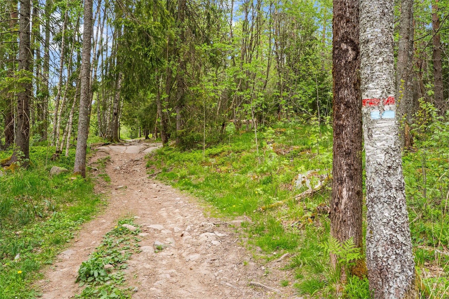 Marka er rett uten for døren - her er det tilrettelagt for turmuligheter og skimuligheter på vinterstid