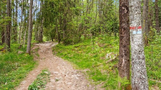 Marka er rett uten for døren - her er det tilrettelagt for turmuligheter og skimuligheter på vinterstid