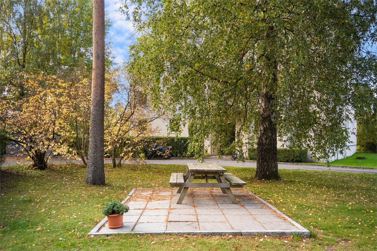 Opparbeidet fellesområde med sittebenk på plenen mellom trærne.