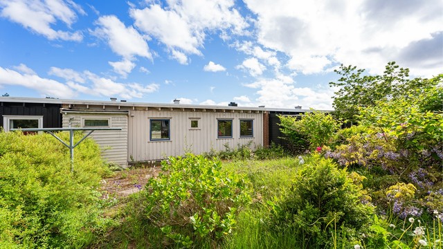 Gjengrodd men passelig stor hage med sol fra morgen til kveld!
