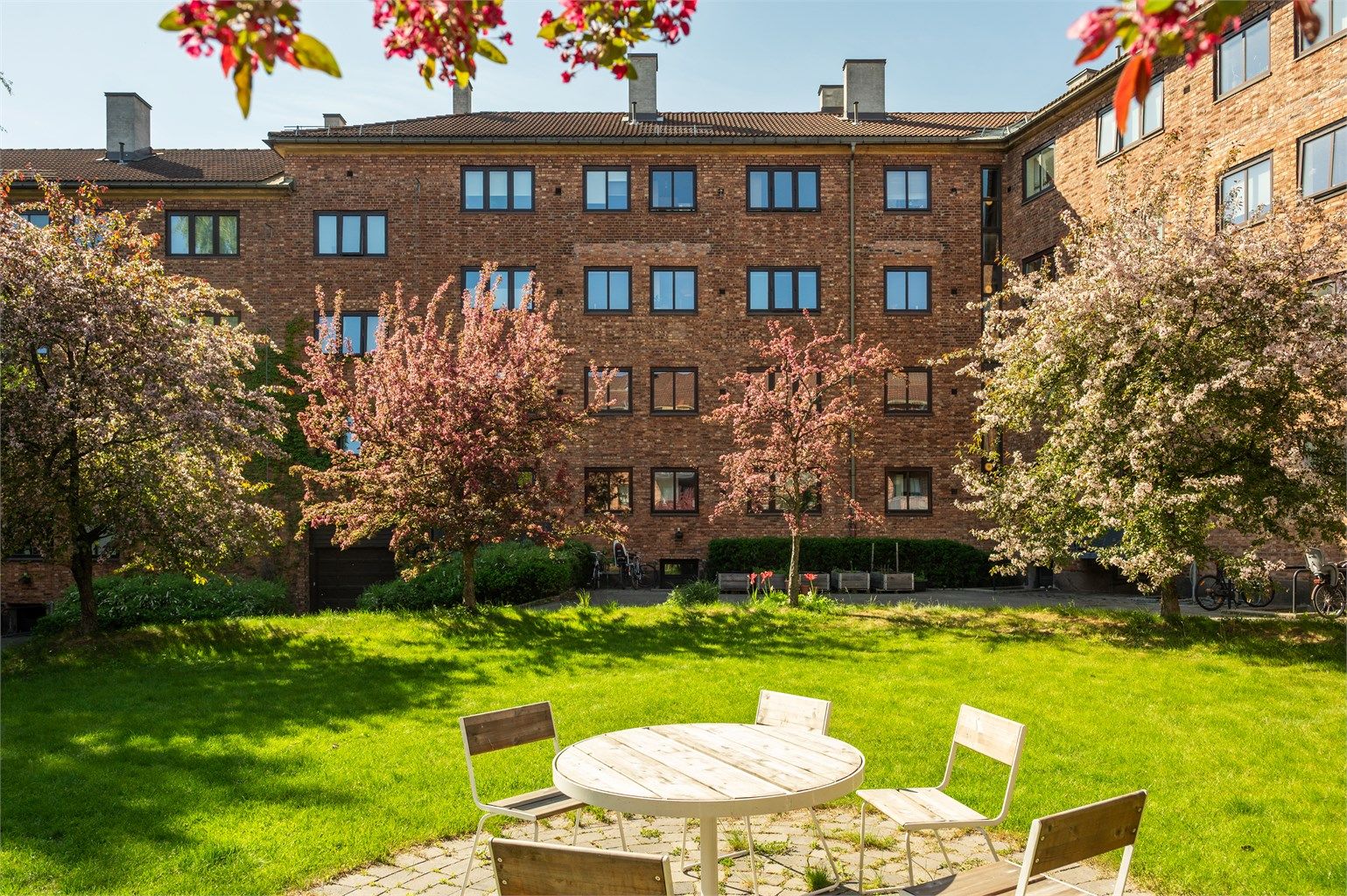 Koselig og svært rolig bakgård! 