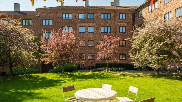 Koselig og svært rolig bakgård!