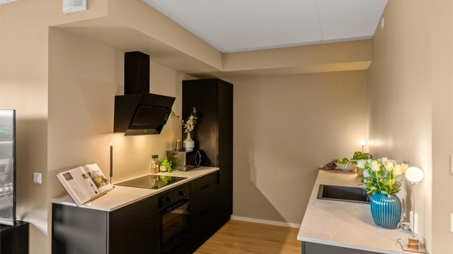 Moderne og tiltalende leilighet