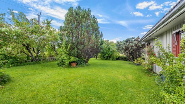 Hagen byr på rikelig med plass til lek, aktivitet og hyggelige sommerdager utendørs.