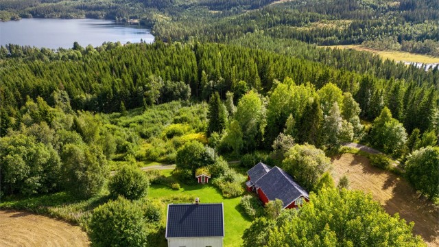 Her er meget fruktbar jord og svært gode solforhold.