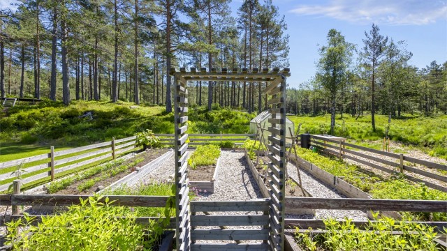 Velholdt kjøkkenhage med pallekarmer, drivhus og fruktrær.