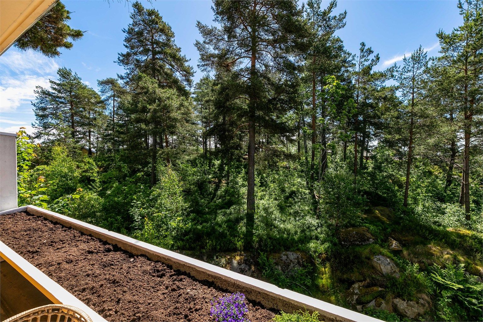 På balkongen sitter du orientert mot både solens gang gjennom dagen og det fredelige skogholtet som sikrer at innsyn ikke er et tema.