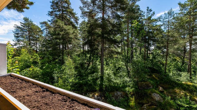 På balkongen sitter du orientert mot både solens gang gjennom dagen og det fredelige skogholtet som sikrer at innsyn ikke er et tema.