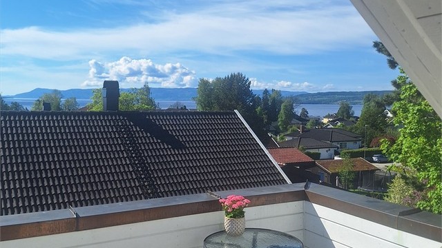 20260522_101307.jpg