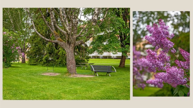 Borettslaget har vakre grøntområder med herlige syriner og lekeapparater for de små.