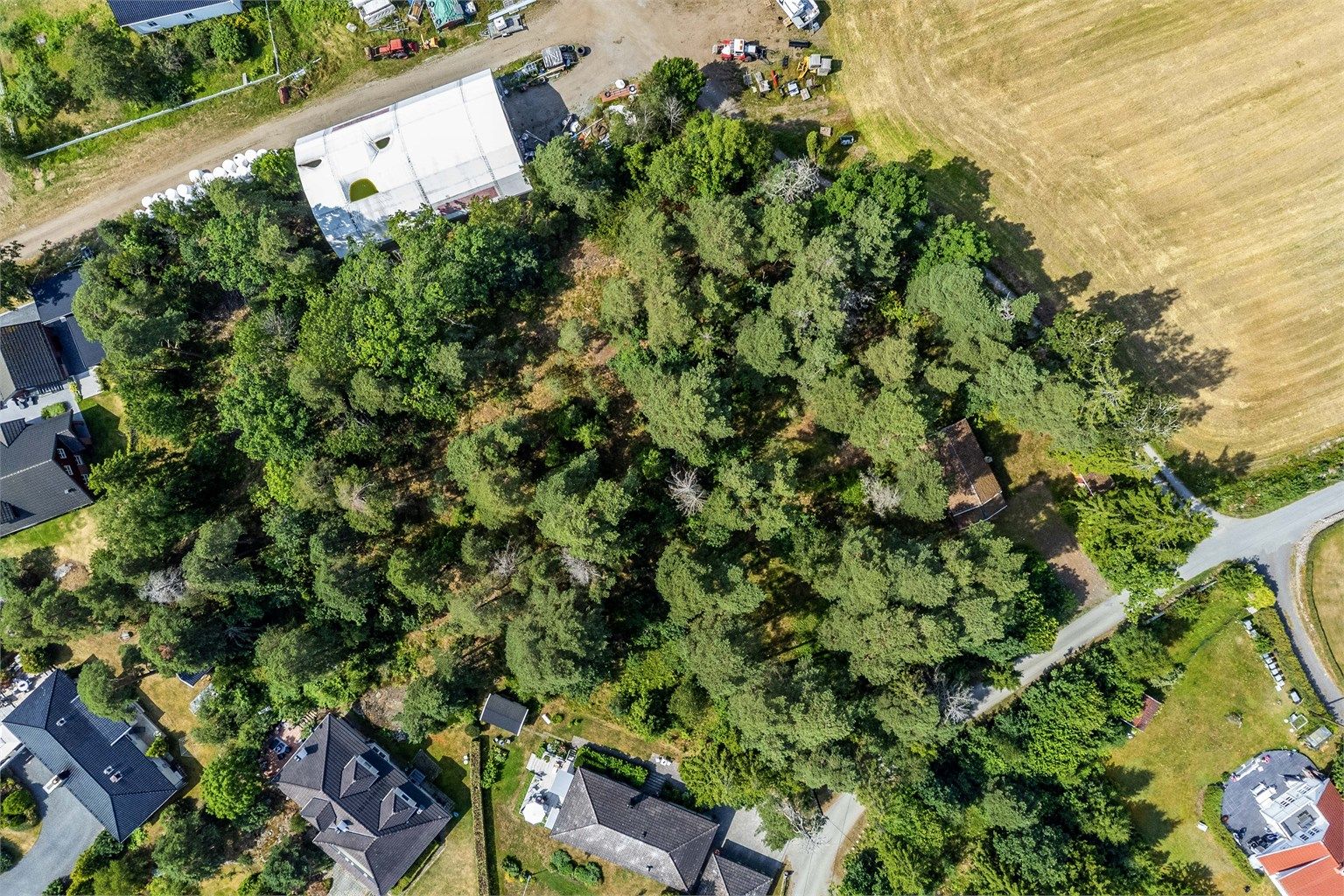 Den over 6,5 mål store tomten består hovedsakelig av naturlig vegetasjon og barskog. Her sett i fugleperspektiv med sørøst ned.