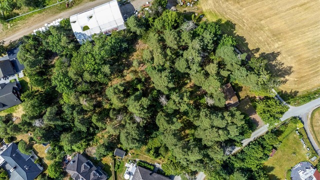 Den over 6,5 mål store tomten består hovedsakelig av naturlig vegetasjon og barskog. Her sett i fugleperspektiv med sørøst ned.
