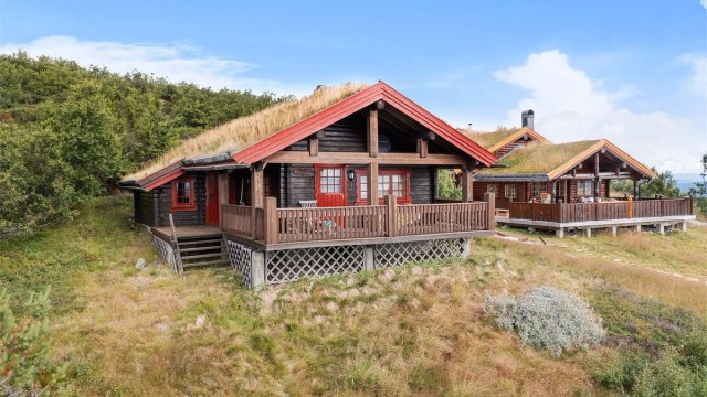 Velkommen til Killingsnaret 31!