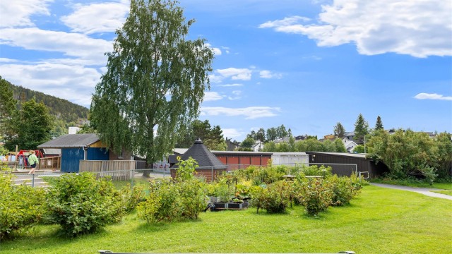Borettslaget har flere bærbusker der beboerne fritt kan plukke
