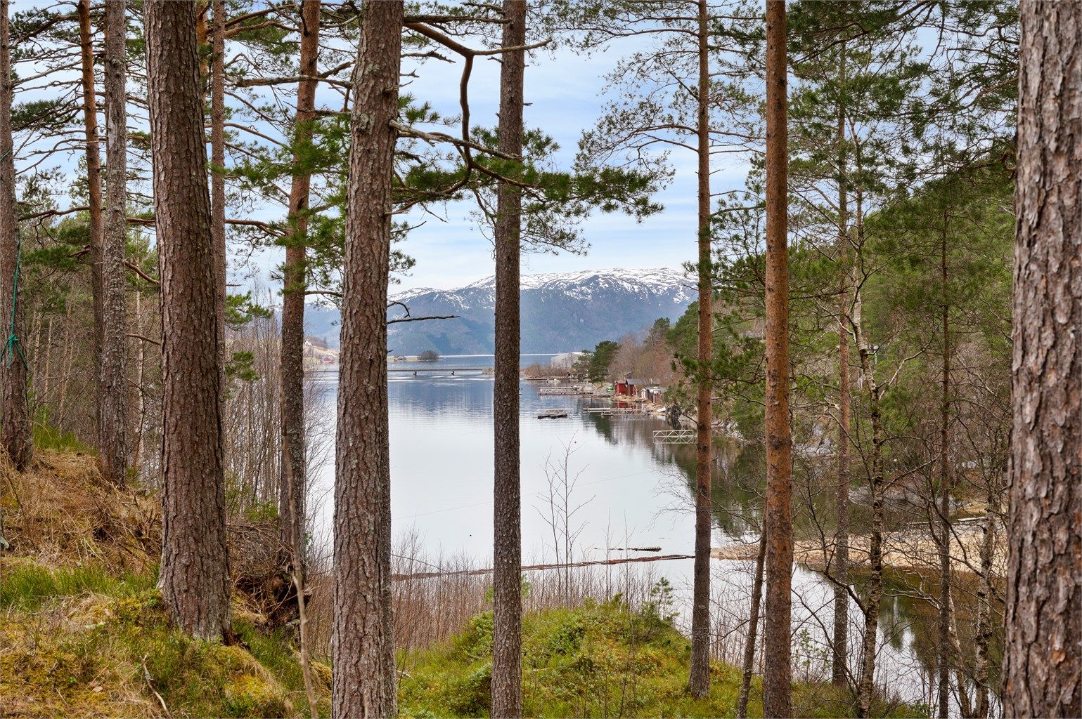 Likevel er tomta både åpen og lys, med fine glimt mot fjorden, fjellene og det vakre fjordlandskapet.