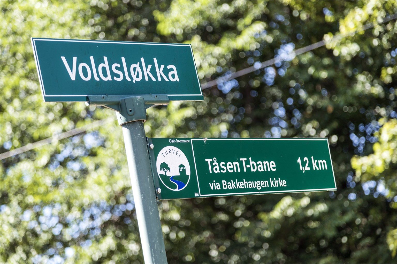 Voldsløkka med sine mange aktivitetsmuligheter ligger rett utenfor døren.
