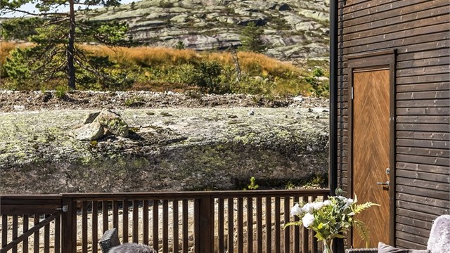 Rett ut i flott natur!