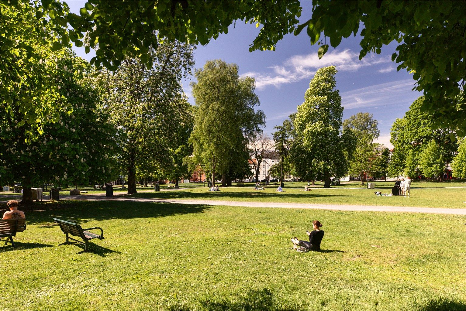 Flotte parker finnes også rett i nærheten, bl.a. Sofienbergparken. 