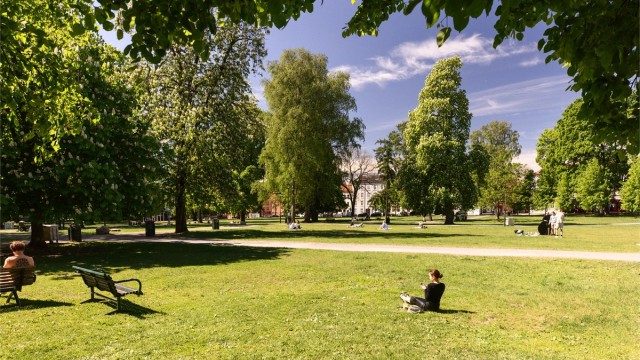 Flotte parker finnes også rett i nærheten, bl.a. Sofienbergparken.