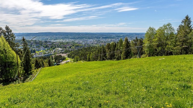 Enten du sliter med melkesyre på vei opp, eller suser ned bakkene er Grefsenkleiva et herlig turmål som kan sees fra soveromsvinduet ditt!