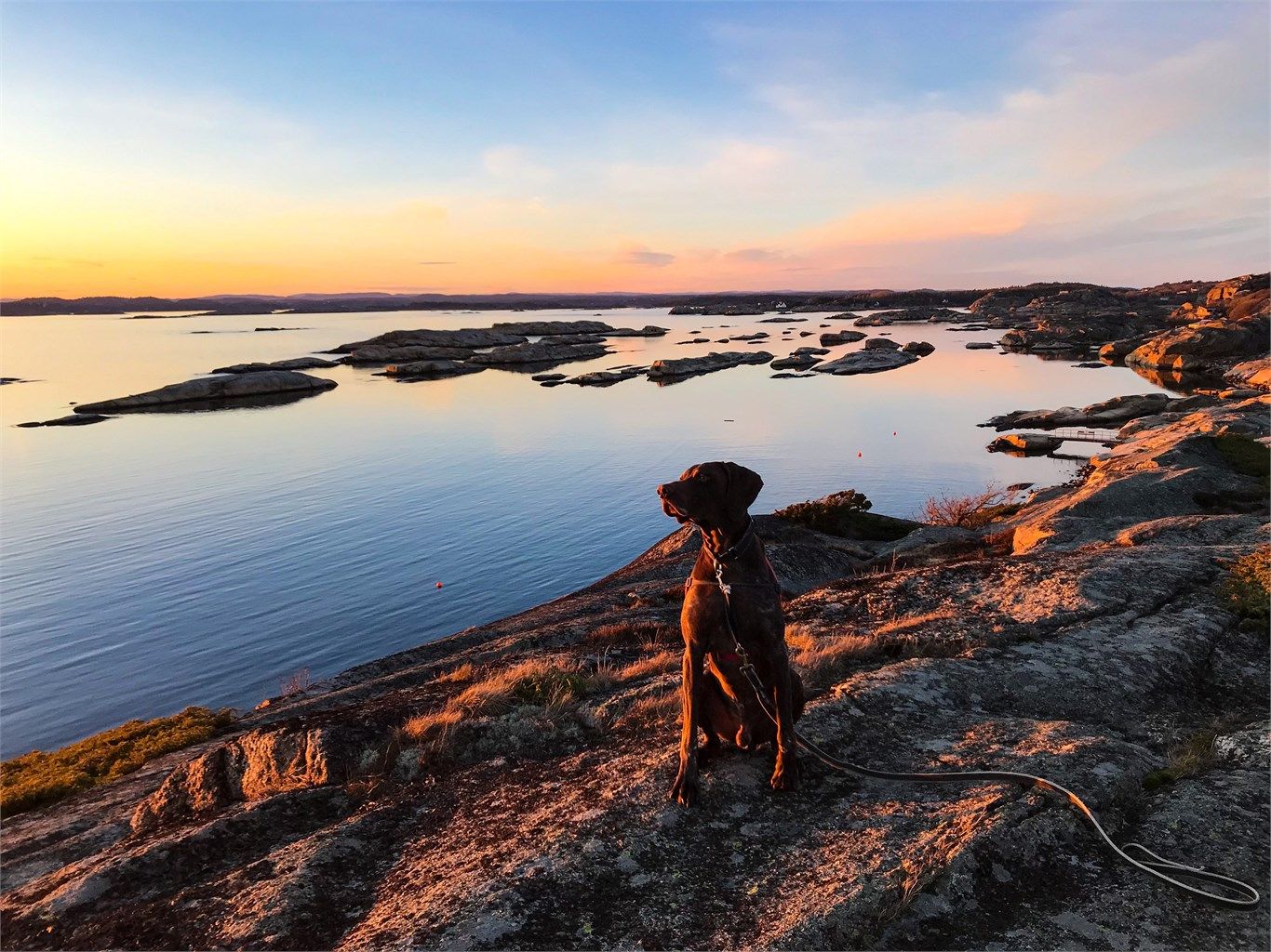 Fra boligen er det kun få minutters gange ned til badestranden, "Regnbuen" som er en av Tjømes mest populære badestrender. I tillegg er det ca. 200 meter, sørover til en annen barnevennlig badestrand.