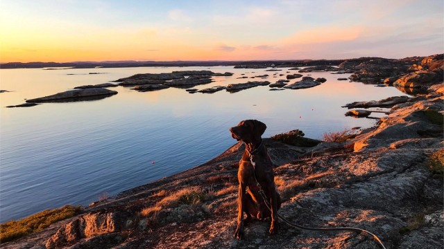 Fra boligen er det kun få minutters gange ned til badestranden, "Regnbuen" som er en av Tjømes mest populære badestrender. I tillegg er det ca. 200 meter, sørover til en annen barnevennlig badestrand.