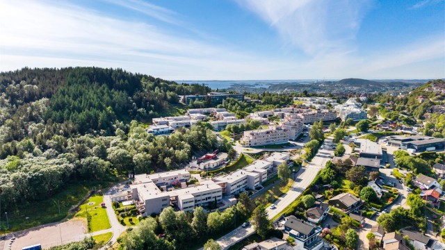 Grøntulien er et veldrevet borettslag med flotte grøntområder.