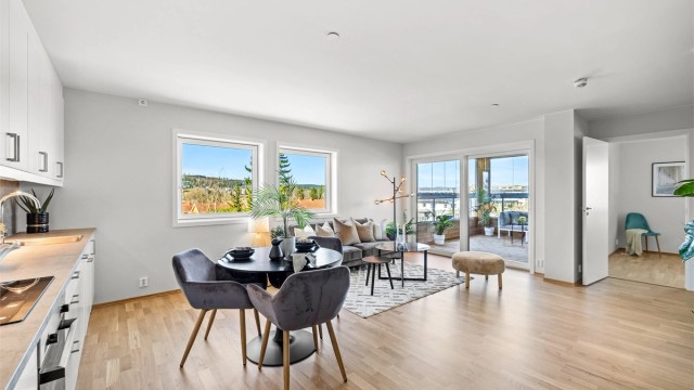 Velkommen til Hønsigutua 2, presentert av Vegard Gran-Andersen/v Krogsveen.