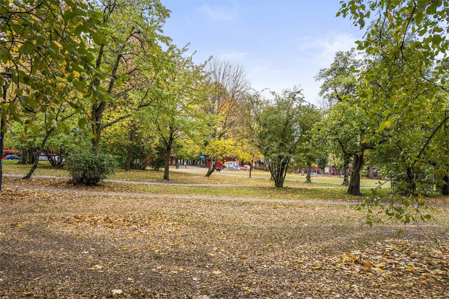 Rett utenfor døren ligger Hallenhagen, en av områdets mange grønne lunger.