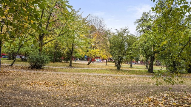 Rett utenfor døren ligger Hallenhagen, en av områdets mange grønne lunger.