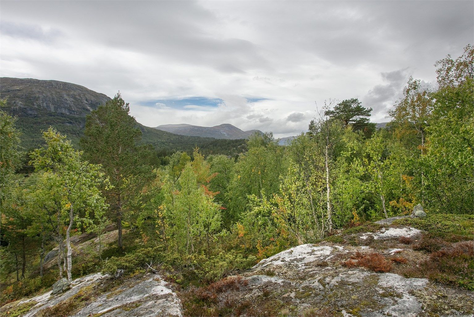 Området har et løypenett med over 84 km preparerte skiløyper vinterstid.