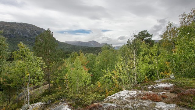 Området har et løypenett med over 84 km preparerte skiløyper vinterstid.