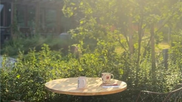 Hyggelige omgivelser
