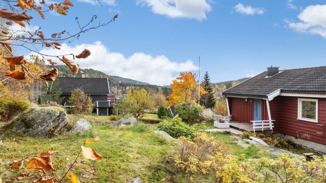 Usjenert tomt opparbeidet med plen, fjellknauser og beplantning.