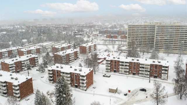 Oversiktsbilde av borettslaget. Østmarka i horisonten.