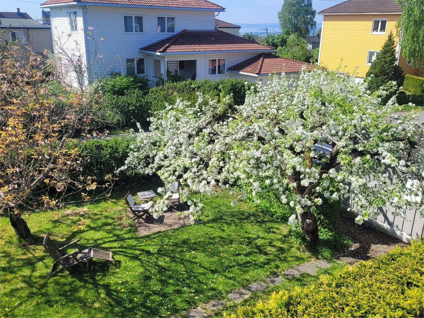 Den frodige hagen blir skjermet av hekken og epletreet - her i full blomst (selgers eget bilde)