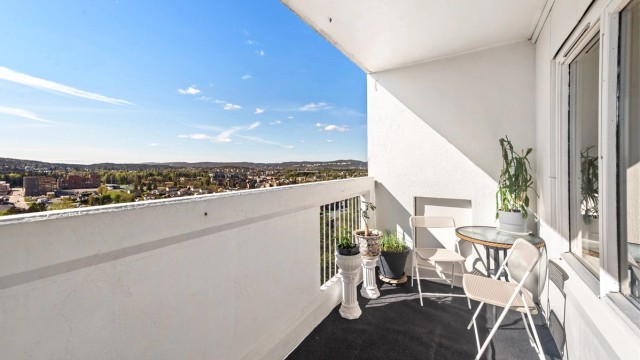 Krogsveen v/Nhut Nam Huynh har gleden av å presentere Skåreråsen 12!