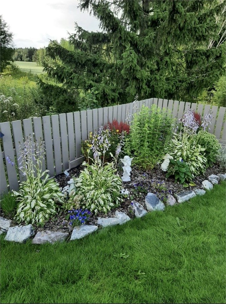 Etablert blomsterbed med stauder som gir farge og liv til hagen.