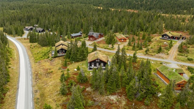 Fra hytta er det kort avstand til skiløyper på vinteren og et generelt flott turterreng ellers i året. "Ski-in ski-out" om vinteren