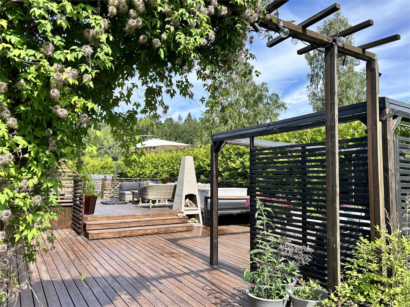 Selgers sommerbilde 