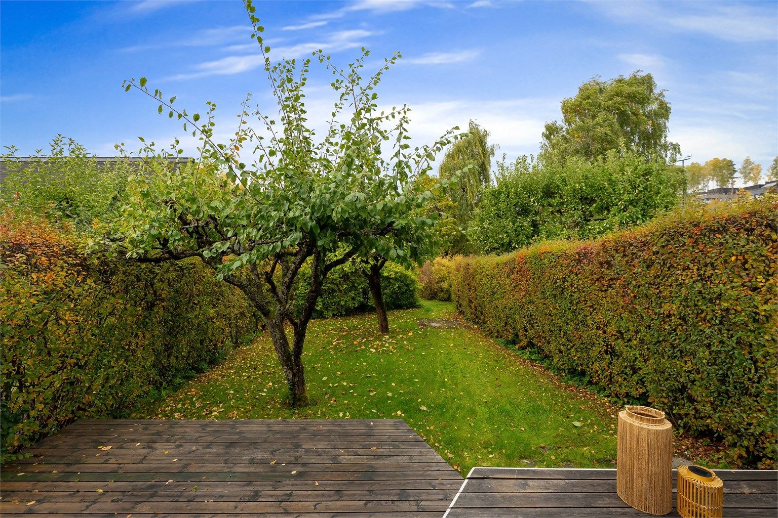 Fra terrassen er det direkte adkomst til den skjermede hagen med plen og frukttrær.