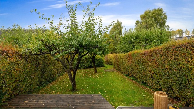 Fra terrassen er det direkte adkomst til den skjermede hagen med plen og frukttrær.