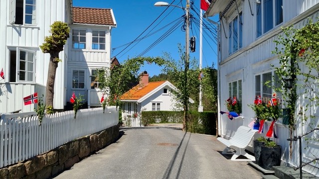 Vårbilde fra 17. mai.