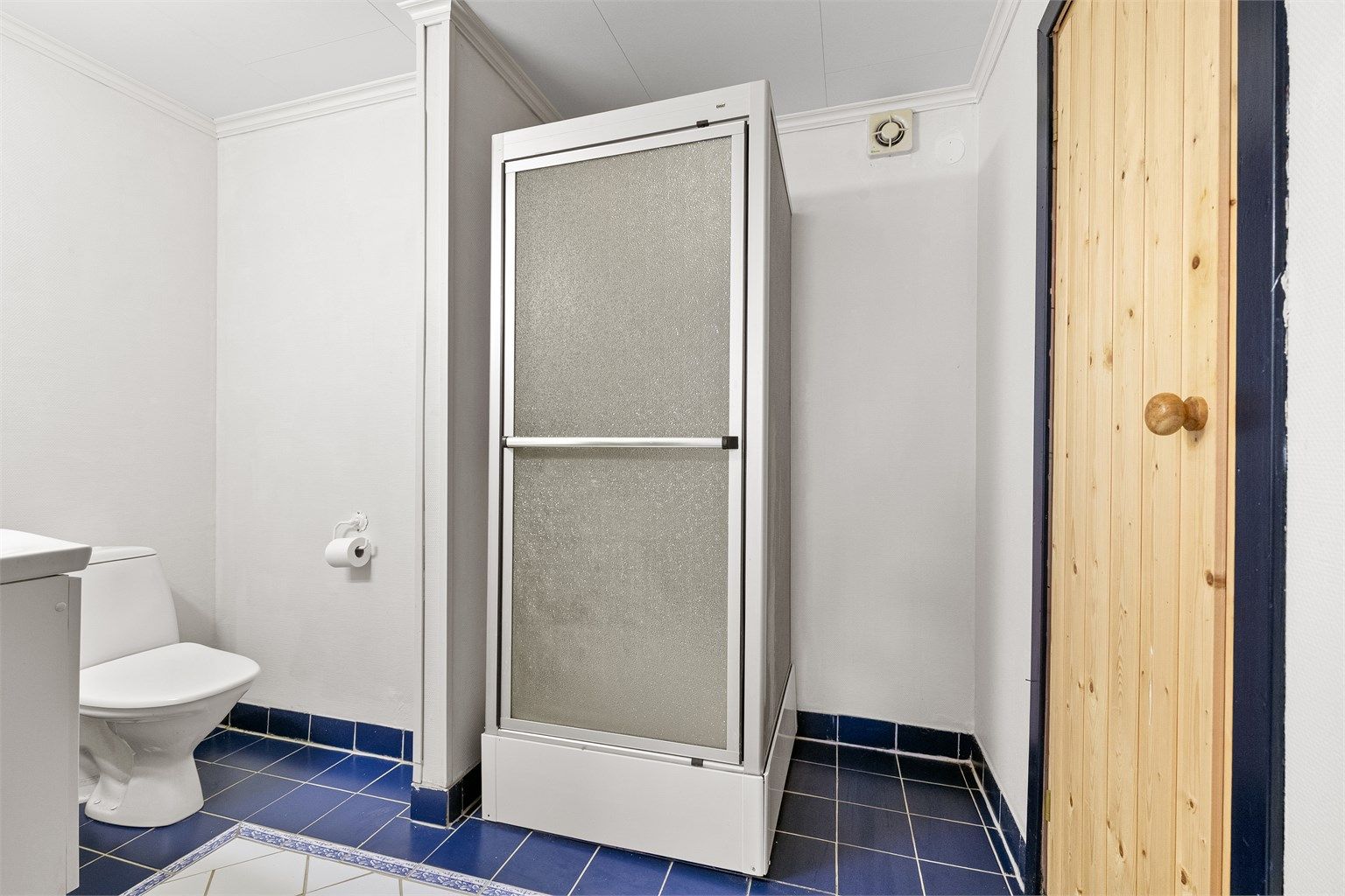 Bad i underetasjen med dusjkabinett, toalett og elektrisk vifte.