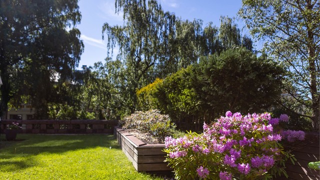 Frodig beplantning og sesongens skiftende farger gir hagen karakter gjennom hele året. En sjelden grønn oase midt på Frogner.