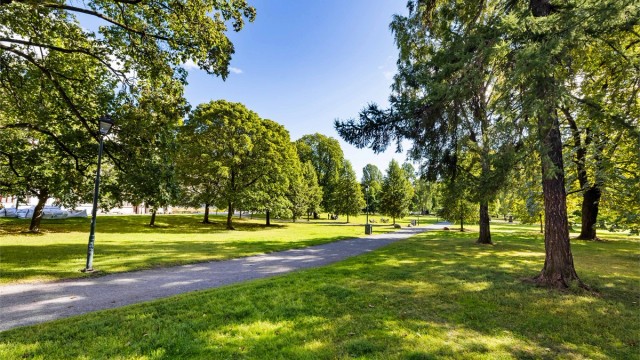 Sofienbergparken.